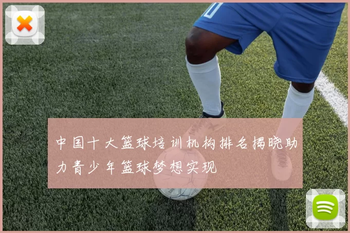 中国十大篮球培训机构排名揭晓助力青少年篮球梦想实现