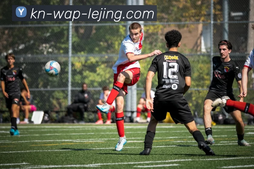 App Interface Preview